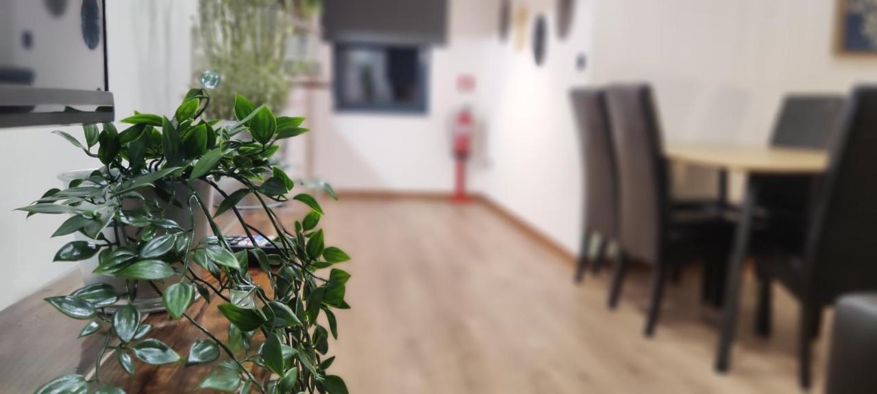 Casa Do Pato 2 Apartment Peso da Régua Екстериор снимка